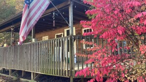 Une cabane en bois avec un porche, un drapeau américain et un arbre aux feuilles roses.