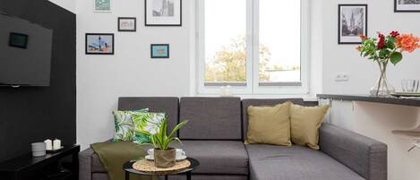 Fernseher, Arbeitsbereiche