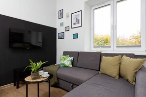 Fernseher, Arbeitsbereiche