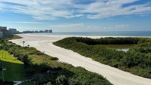 A beach with a sandy path, dense greenery, and a view of the ocean and buildings in the distance. - South Seas Tower 4- 812: Beautifully Updated; Large Balcony (Marco Island)