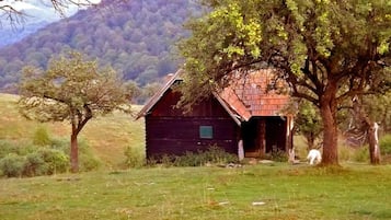 Enceinte de lâhĂ©bergement