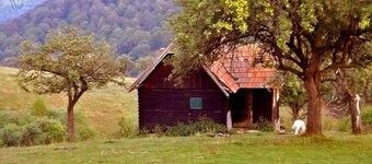 Holiday house Vale for 1 - 4 persons - Holiday home