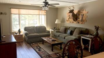 スマートテレビ、暖炉、DVD プレーヤー、ステレオ