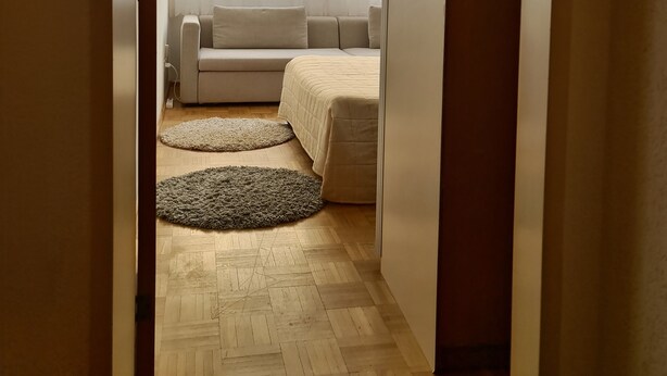 A narrow hallway leading to a bedroom with a bed, a sofa, and a window with sheer curtains. - Apartment  (Basilea)