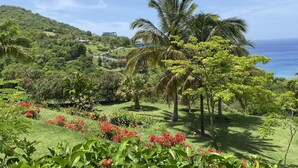 A lush garden with palm trees and red flowers, a hillside with buildings, and a view of the ocean.