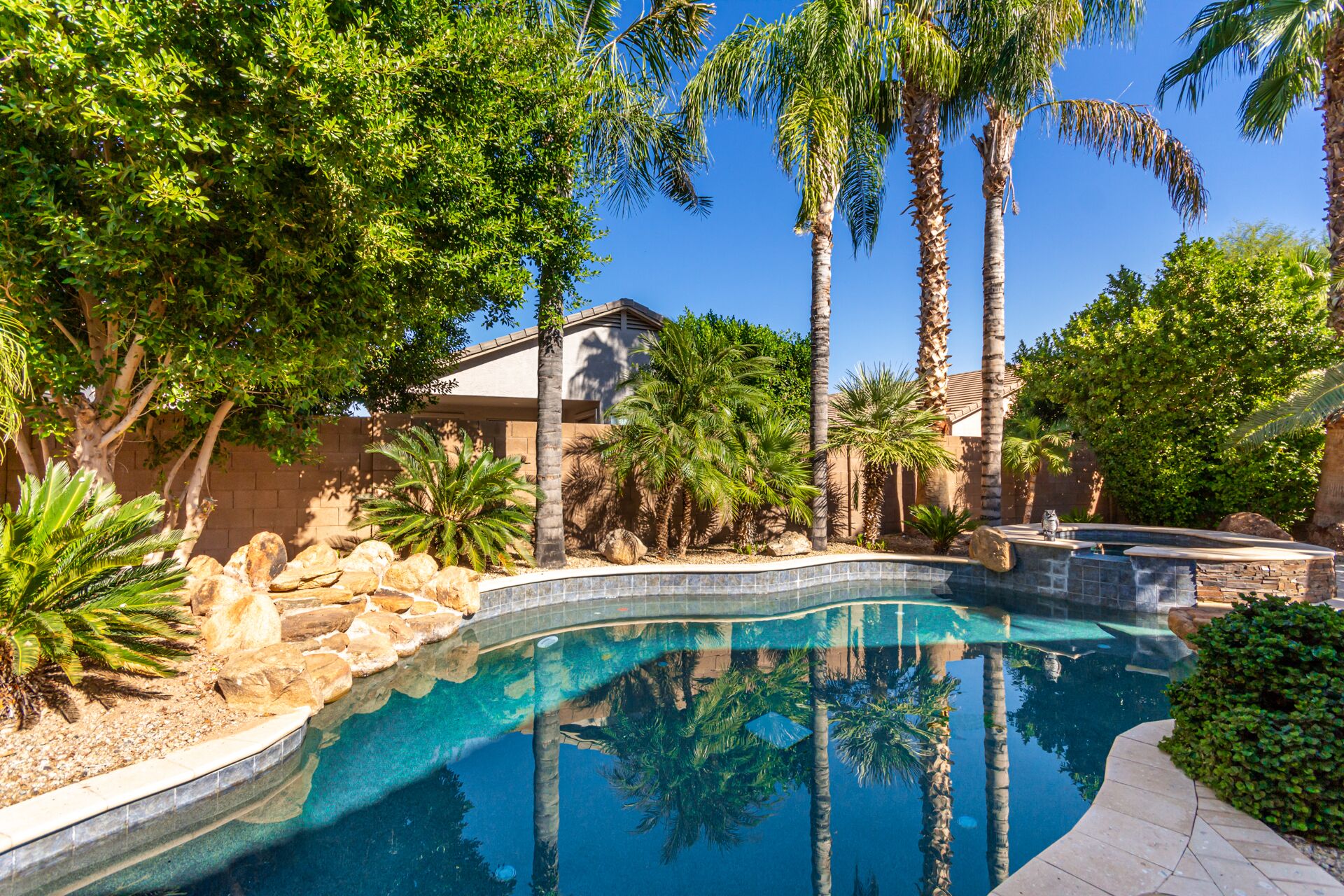 Tropical Oasis in Sunny Arizona!