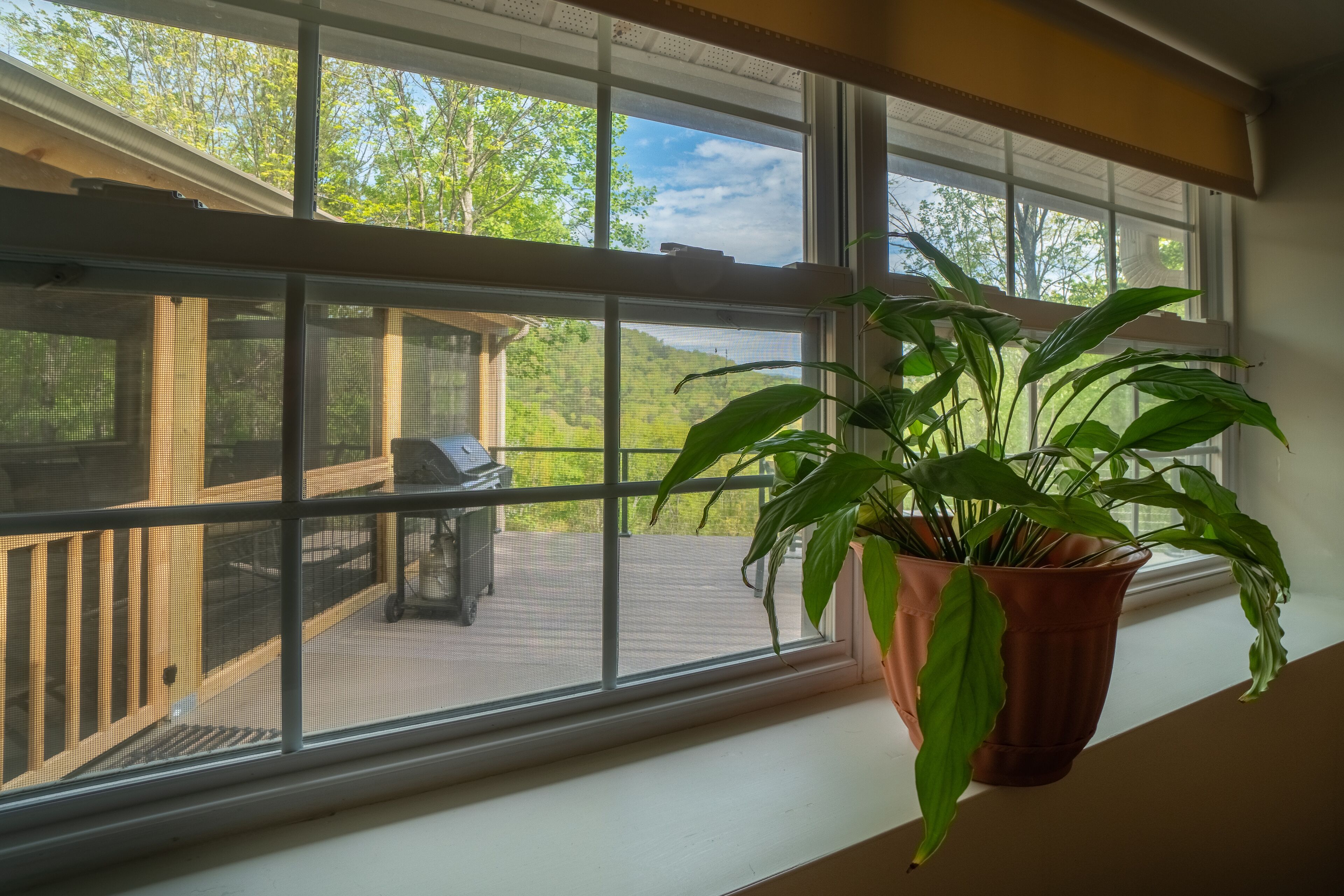 A window with a potted plant, a view of a deck, and a grill.