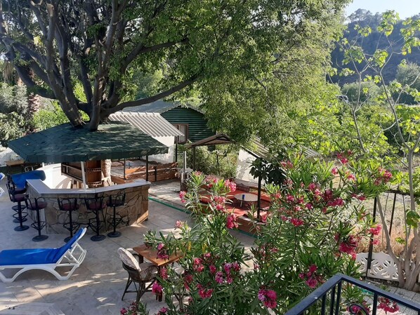 Bar (en la propiedad)