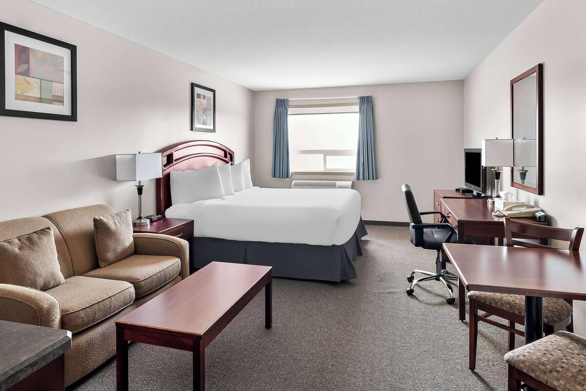 A hotel room with a bed, a sofa, a desk, and a chair.