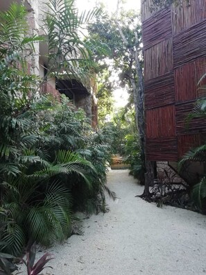 Property grounds - Agua & Selva Luxury loft in the Mayan Jungle (Tulum)
