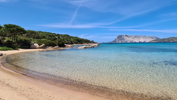 A beach with clear water, a rocky outcrop, and a mountainous backdrop. - Holiday Apartment "Bilocale Geranium Beach" with Terrace & Air Conditioning (San teodoro)