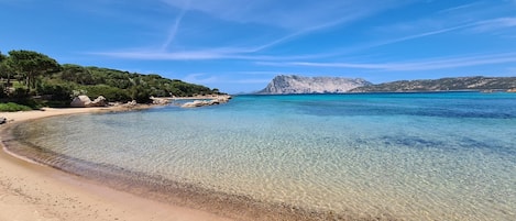 Playa en los alrededores