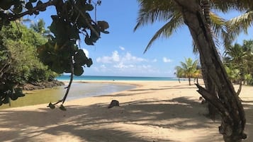 Una spiaggia nelle vicinanze