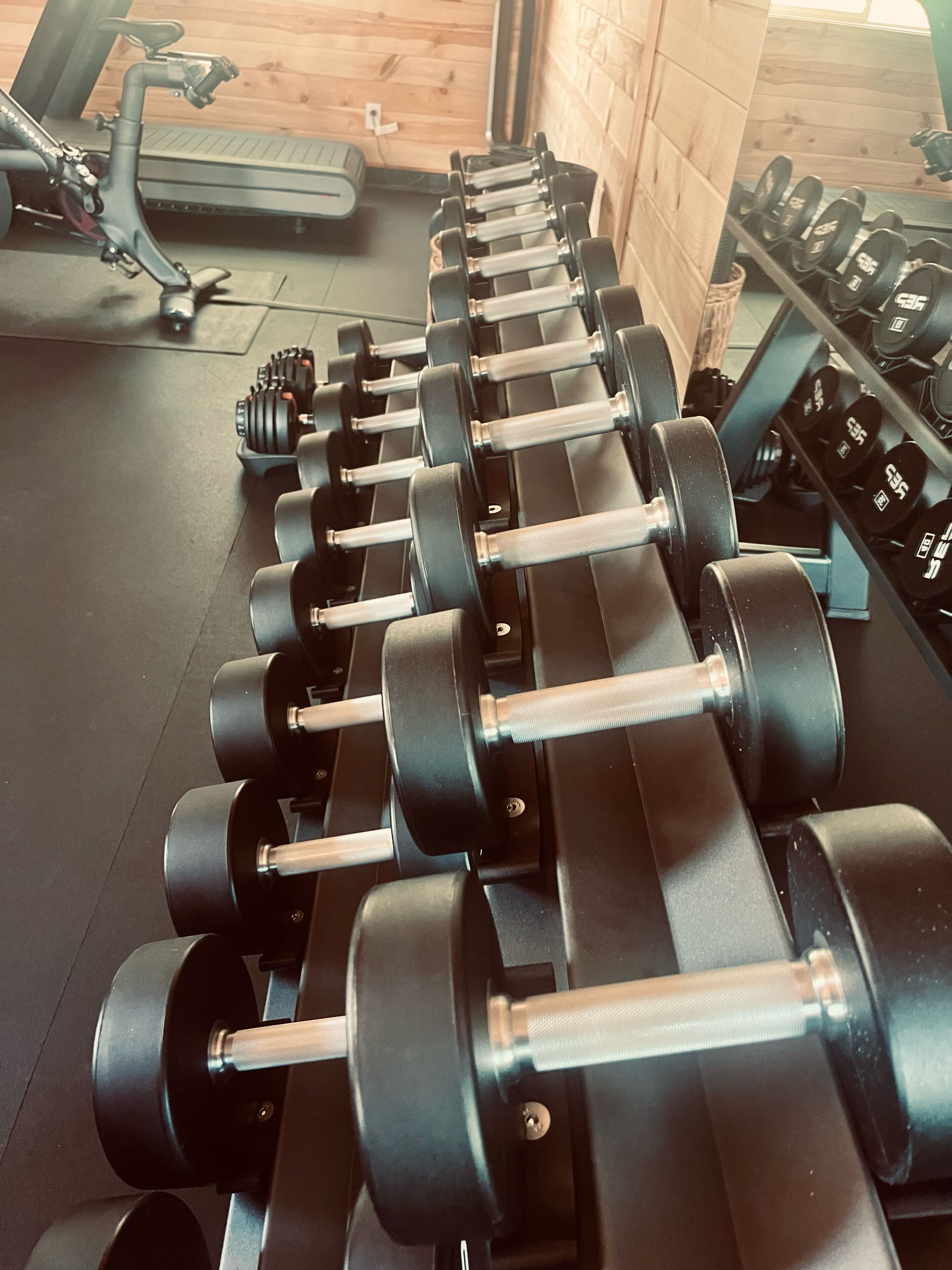 A row of black dumbbells on a rack in a gym.