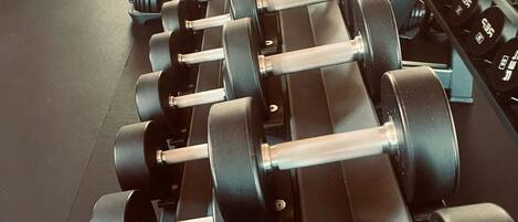 A row of black dumbbells on a rack in a gym.