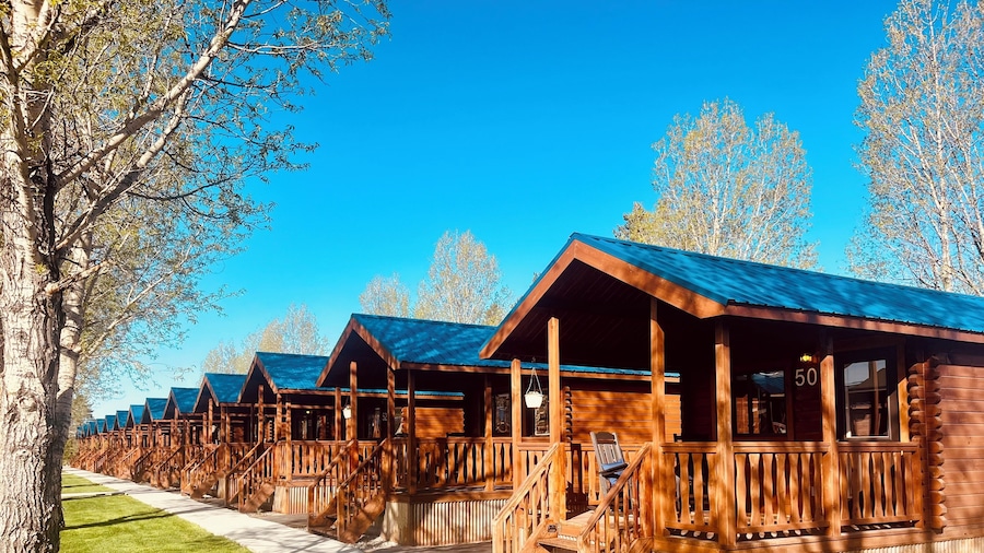 Blue Buffalo Resort