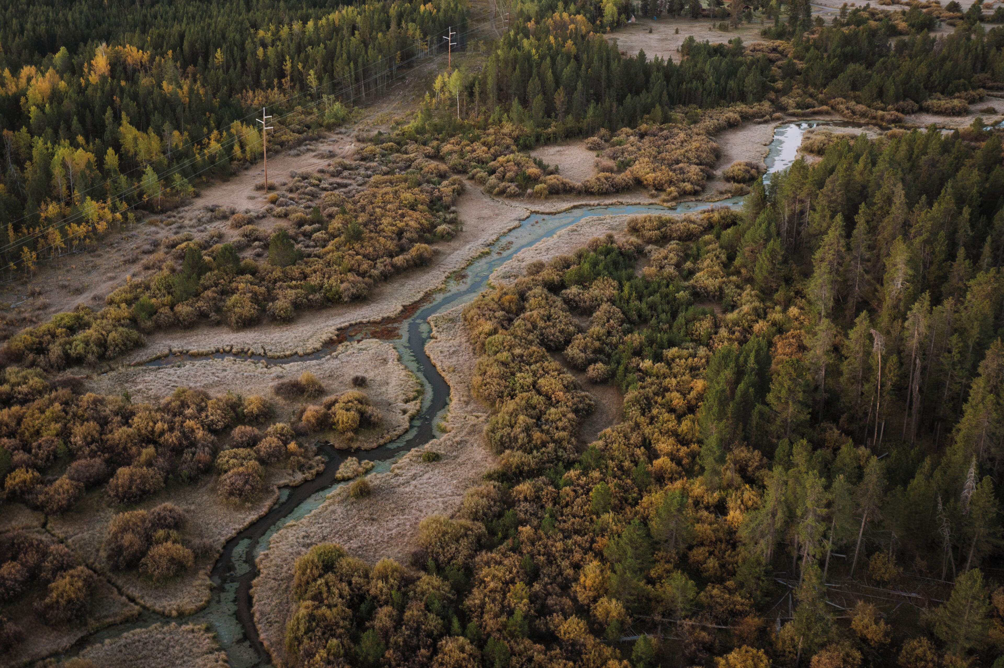 An aerial view of a river winding through a forested area with dense trees and some open land.