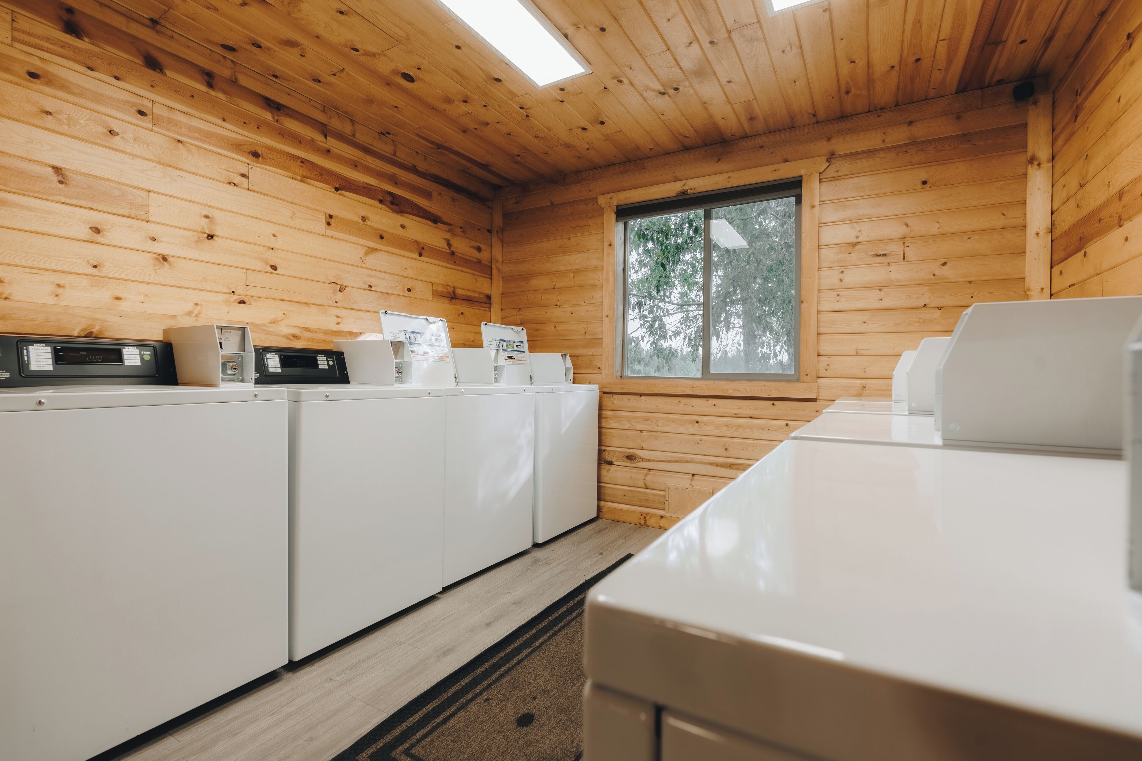 Une buanderie avec des murs et un plafond en bois, une fenêtre et plusieurs machines à laver.