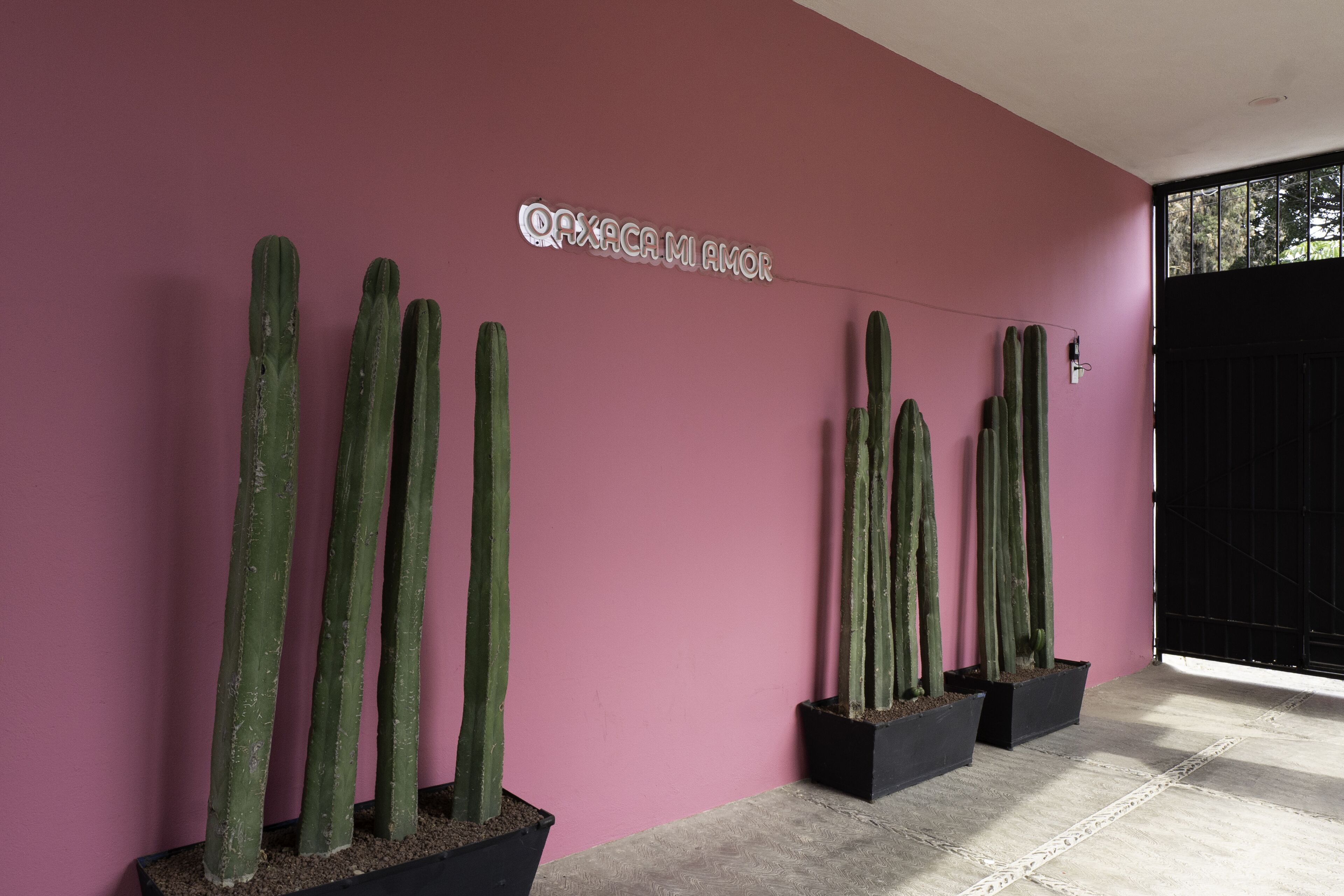 Foto - Esencia Oaxaca