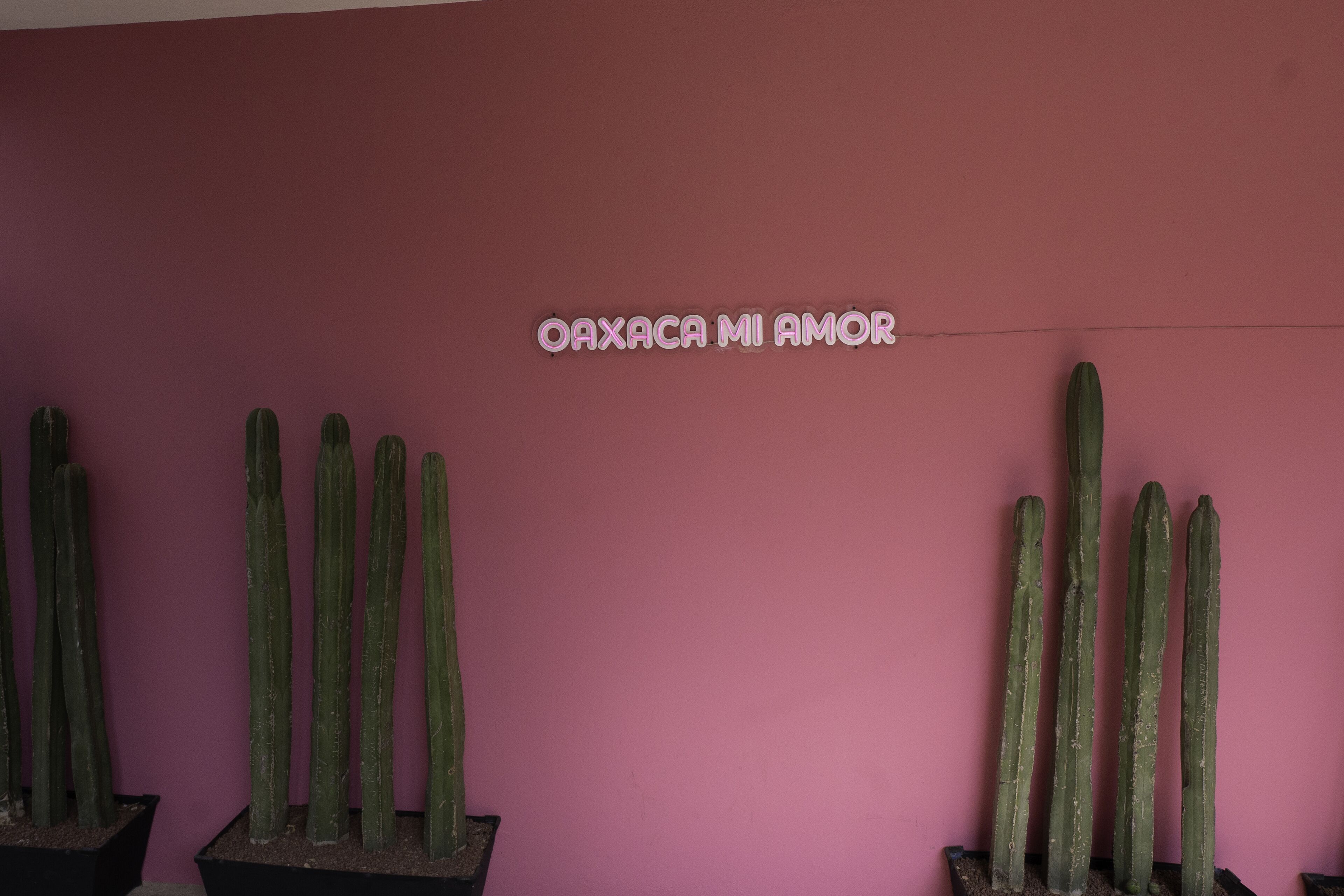 Foto - Esencia Oaxaca