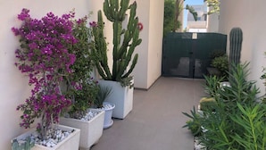 A narrow outdoor corridor with potted plants, including a large cactus and bougainvillea. - Stunning villa, large private pool, 8' from beautiful beach (Quesada)