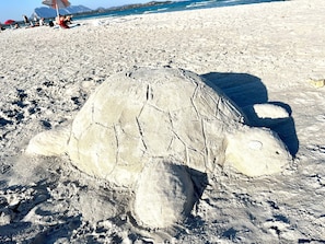 Nära stranden