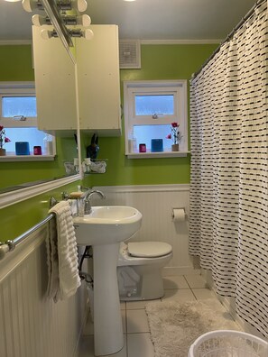 Combined shower/bathtub