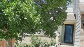 A residential property with a well-maintained lawn, a large tree, and a brick exterior. - Cozy Colorado home with Serene views meant for pure relaxation! (Henderson)