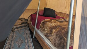 免费 WiFi、床单