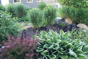 Terrain de l’hébergement 