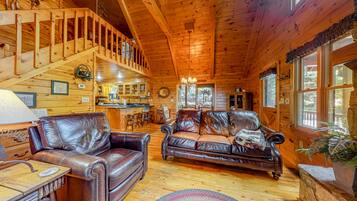 Télévision, cheminée, baby-foot, livres