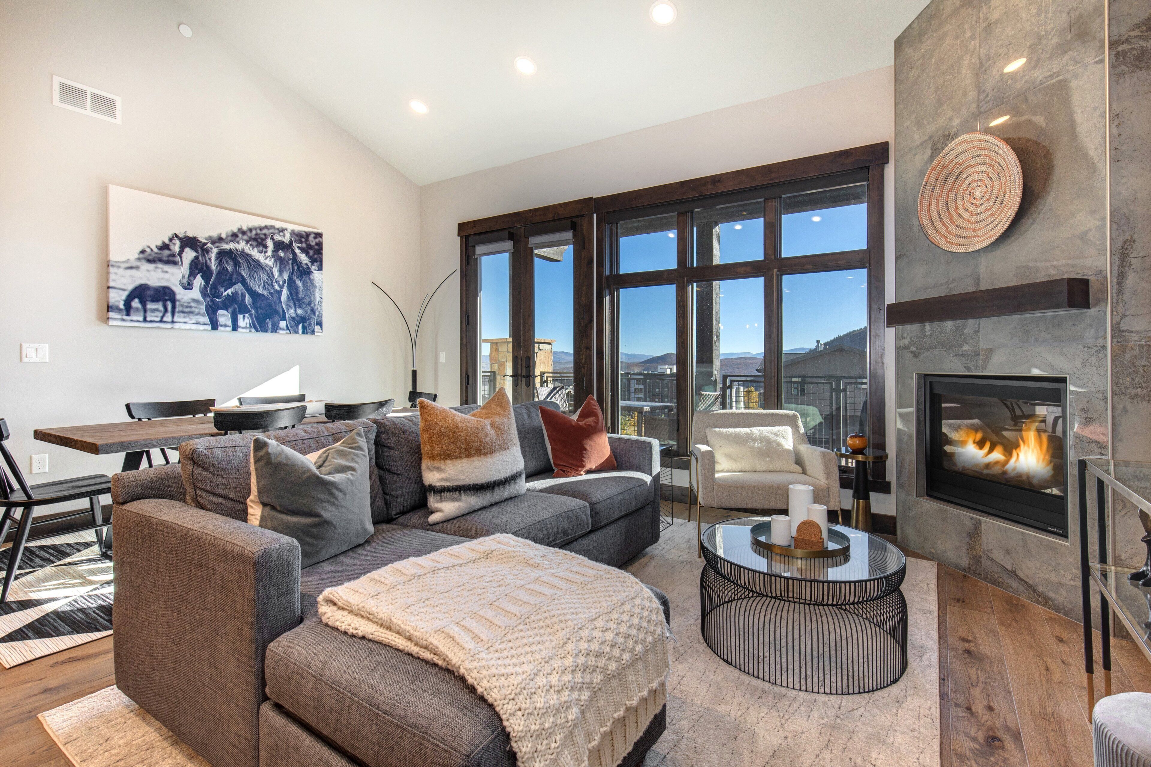 TV, fireplace