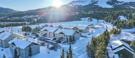 A snow-covered residential area with multiple houses and a mountain in the background.
