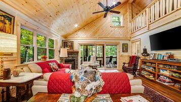 TV, caminetto, libri