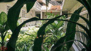 Un jardin intérieur luxuriant, avec une grande variété de plantes, et un balcon doté d’une balustrade.