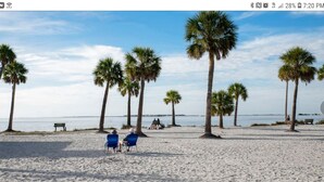 A beach with palm trees, a bench, and people relaxing. - TROPICAL RETREAT WITH PRIVATE HEATED POOL-TAMPA BAY. (New Port Richey)