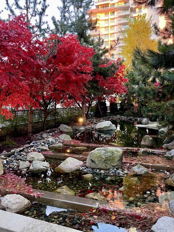 A serene garden with a pond, surrounded by autumn-colored trees and large rocks. - Solace in the City-Downtown, Close to Everything, Private Garden Patio (Victoria)