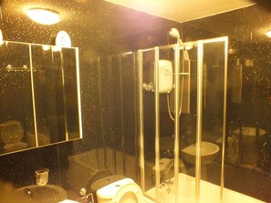 Combined shower/tub, hair dryer, towels, toilet paper