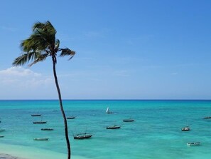 Una playa con una palmera y varias embarcaciones en el agua.