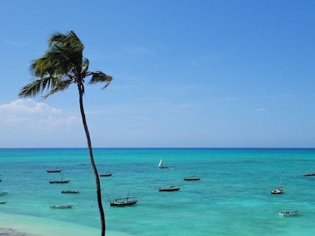 A beach with a palm tree and several boats in the water.