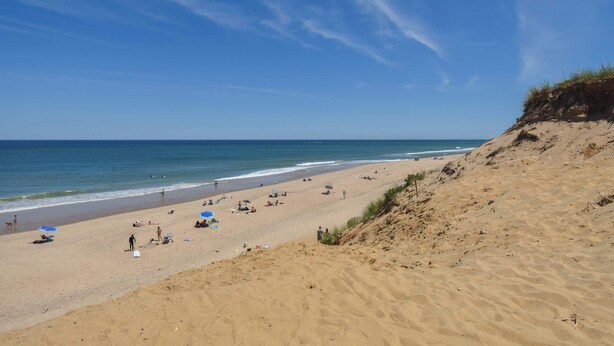 A sandy beach with people, umbrellas, and a clear blue sky. - Walk 1/10 Mile to Lecount Hollow Beach! (Wellfleet)