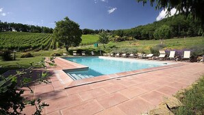 Une piscine avec des chaises longues et une vue sur un vignoble.