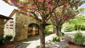 Un bâtiment en pierre doté d’une porte en bois, entouré d’un jardin où poussent des plantes à fleurs et bordé d’un chemin pavé.