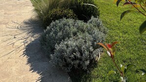 A pathway leading to a covered patio area with a well-maintained lawn and various shrubs. - Villa Le Terme with Pool, Whirlpool, Garden, Terrace, BBQ, A/C & Wi-Fi (Monsummano Terme PT)