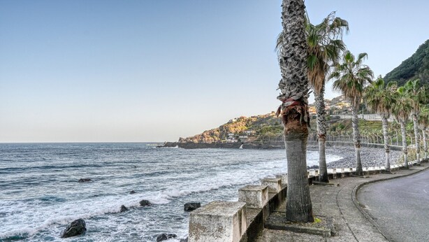 A coastal road with palm trees and a rocky shoreline. - Casa Familia Pestana 1, a Home in Madeira (Seixal)