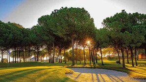 Un parcours de golf avec un bunker de sable, des arbres et un ciel dégagé.