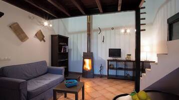 TV, fireplace, books
