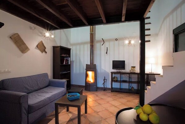 TV, fireplace, books