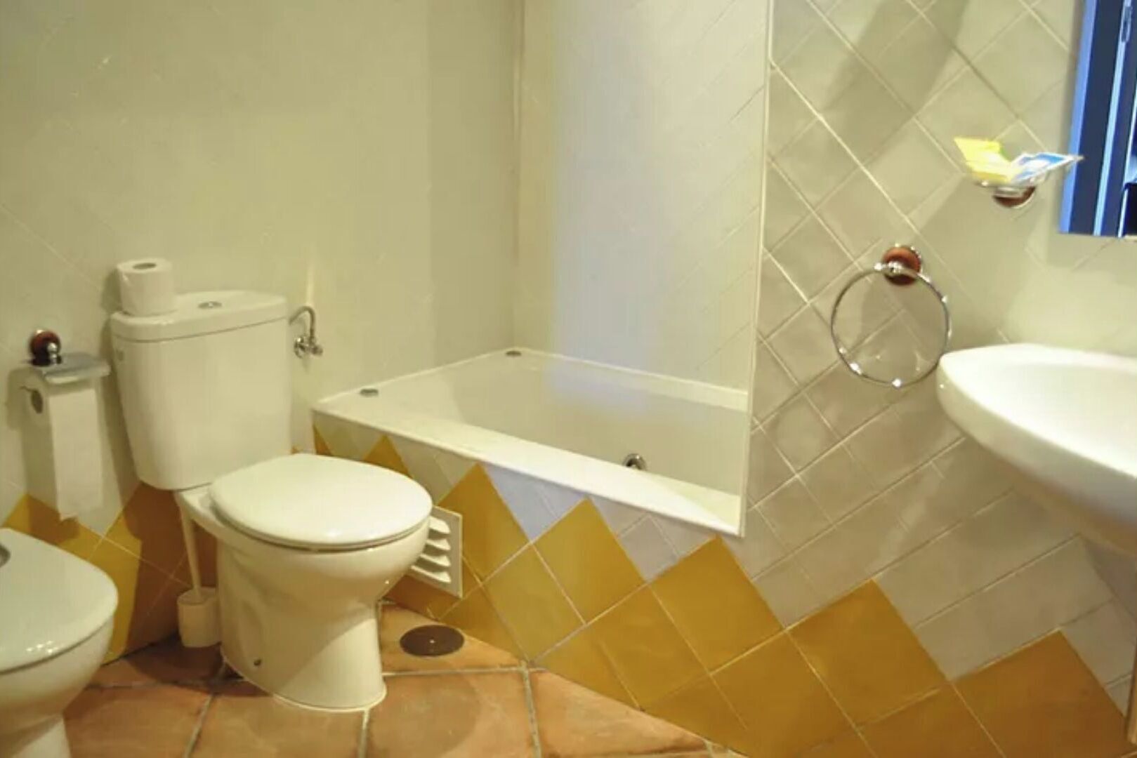 Jetted tub, hair dryer, bidet, towels