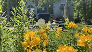 A garden with yellow flowers and two houses in the background.